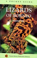 Lizards of Borneo