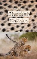 Cheetah Chases