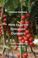 How to Grow Tomatoes Outdoors