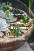 House Plants for Beginners