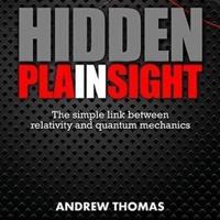 Hidden in Plain Sight Lib/E