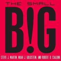 The Small Big Lib/E