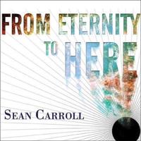 From Eternity to Here Lib/E