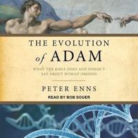 Evolution of Adam Lib/E