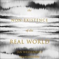 The Non-Existence of the Real World Lib/E