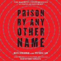 Prison by Any Other Name Lib/E