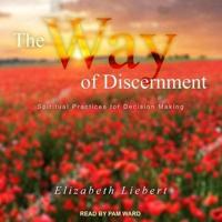 The Way of Discernment Lib/E