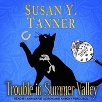 Trouble in Summer Valley