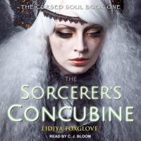 The Sorcerer's Concubine Lib/E
