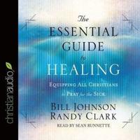 Essential Guide to Healing Lib/E