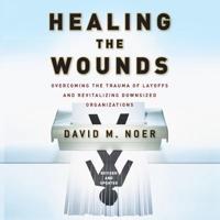 Healing the Wounds Lib/E