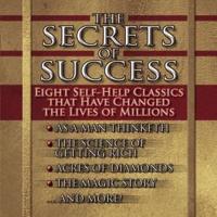 The Secrets of Success Lib/E