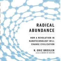 Radical Abundance Lib/E