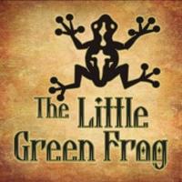 The Little Green Frog Lib/E