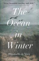 The Ocean in Winter