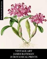 Vintage Art:James Bateman: 20 Botanical Prints: Orchid Ephemera for Framing, Home Decor, Collage and Decoupage