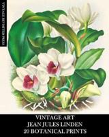 Vintage Art: Jean Jules Linden: 20 Botanical Prints: Orchid Ephemera for Framing, Home Decor, Collage and Decoupage