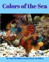 Colors of the Sea