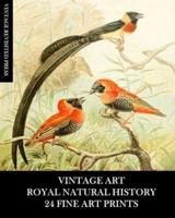 Vintage Art: Royal Natural History: 24 Fine Art Prints: Animal Ephemera for Collages, Decoupage, Framing, Junk Journals
