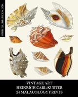 Vintage Art: Heinrich Carl Kuster: 24 Malacology Prints: Seashell Ephemera for Framing, Collages,and Scrapbooks