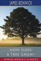 How Does a Tree Grow? (Esprios Classics)
