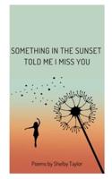 Something in the Sunset Told Me I Miss You