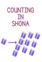 Counting in Shona