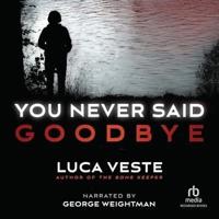 You Never Said Goodbye