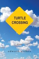 Turtle Crossing