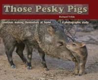 Those Pesky Pigs
