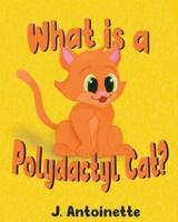 What Is a Polydactyl Cat?