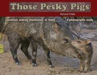 Those Pesky Pigs