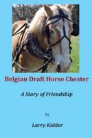 Belgian Draft Horse Chester