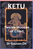 Ketu Twelve Houses of Chart