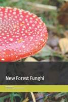 New Forest Funghi