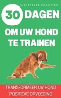 De Methode Om Uw Hond Te Trainen in 15 Minuten Per Dag