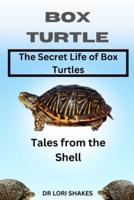A Comprehensive Guide to Box Turtles