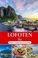 Îles Lofoten Guide De Voyage 2024