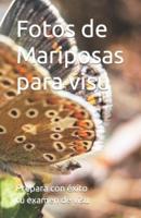 Fotos De Mariposas Para Visu