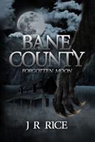 Bane County