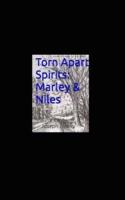 Torn Apart Spirits