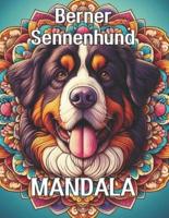 Berner Sennenhund Mandala
