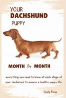Your Dachshund Puppy Month by Month