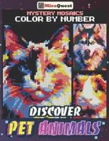 Mystery Mosaics Color By Number Discover Pet Animals