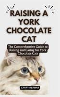 Raising a York Chocolate Cat
