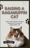 Raising a Ragamuffin Cat