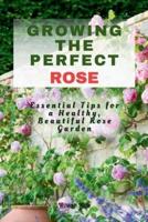 Growing the Perfect Rose