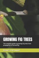 Growing Fig Trees