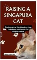 Raising a Singapura Cat