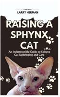 Raising a Sphynx Cat